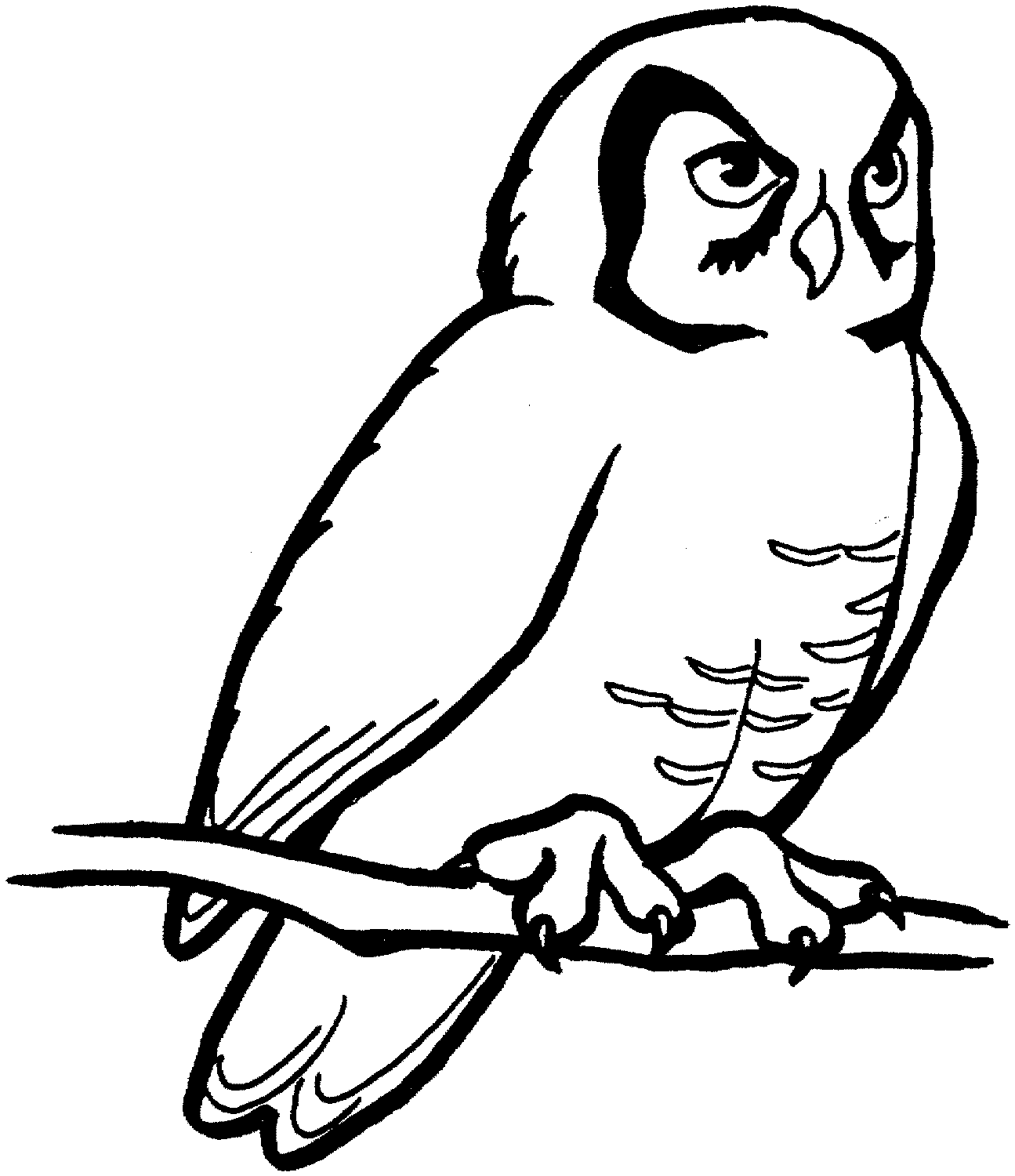 Best Owl Clipart Black and White