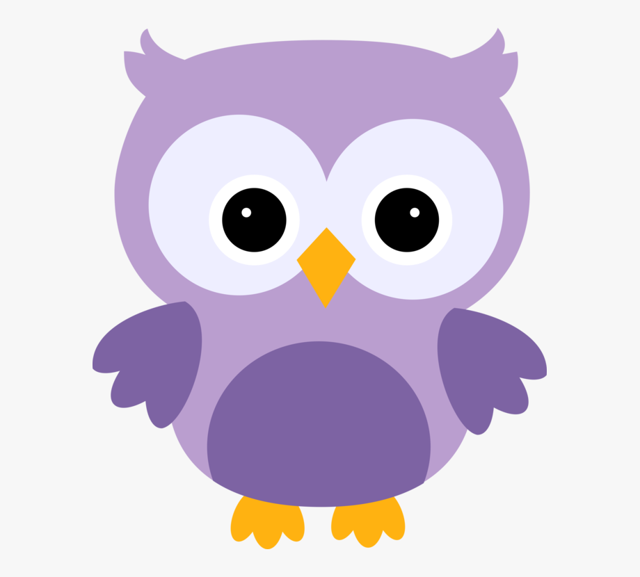 Baby owl png.
