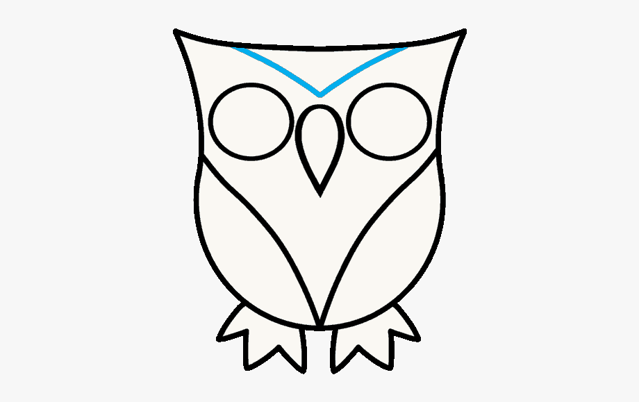 How draw owl.