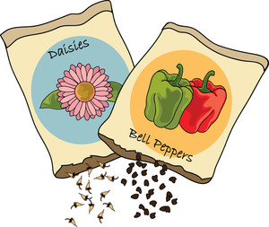 Clipart Illustration of Bell Pepper and Daisy Seed Packets