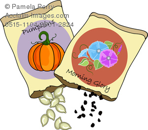 Seed packages clipart images and stock photos