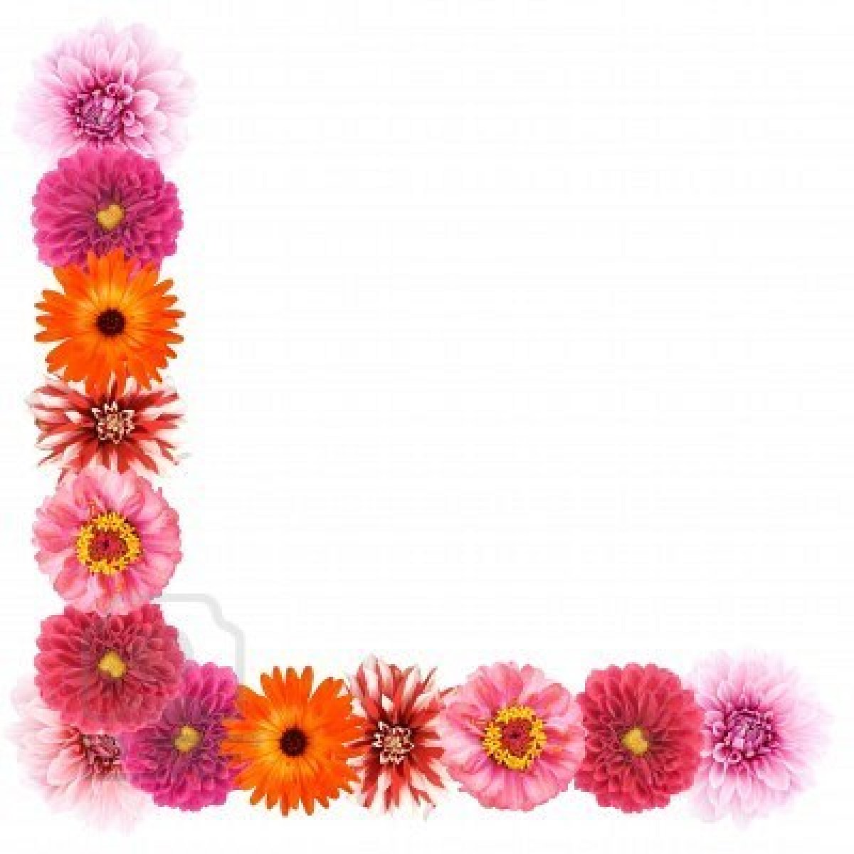 Free Flower Page Border, Download Free Clip Art, Free Clip