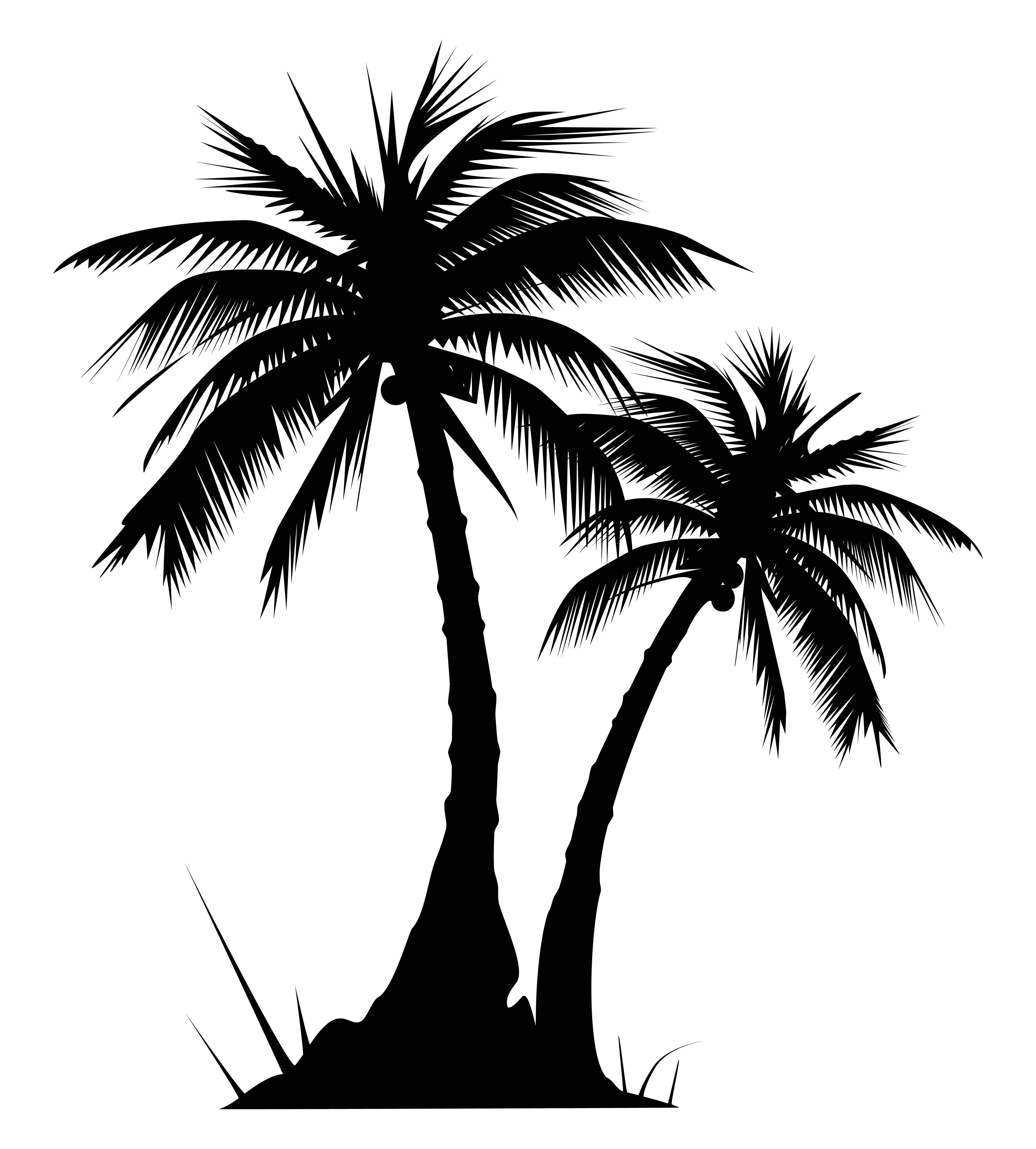 Palm tree clip art black and white Quotes