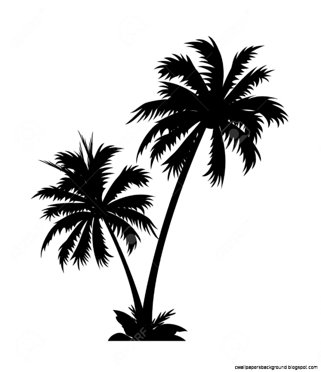 Palm tree clipart black and white clipartfest