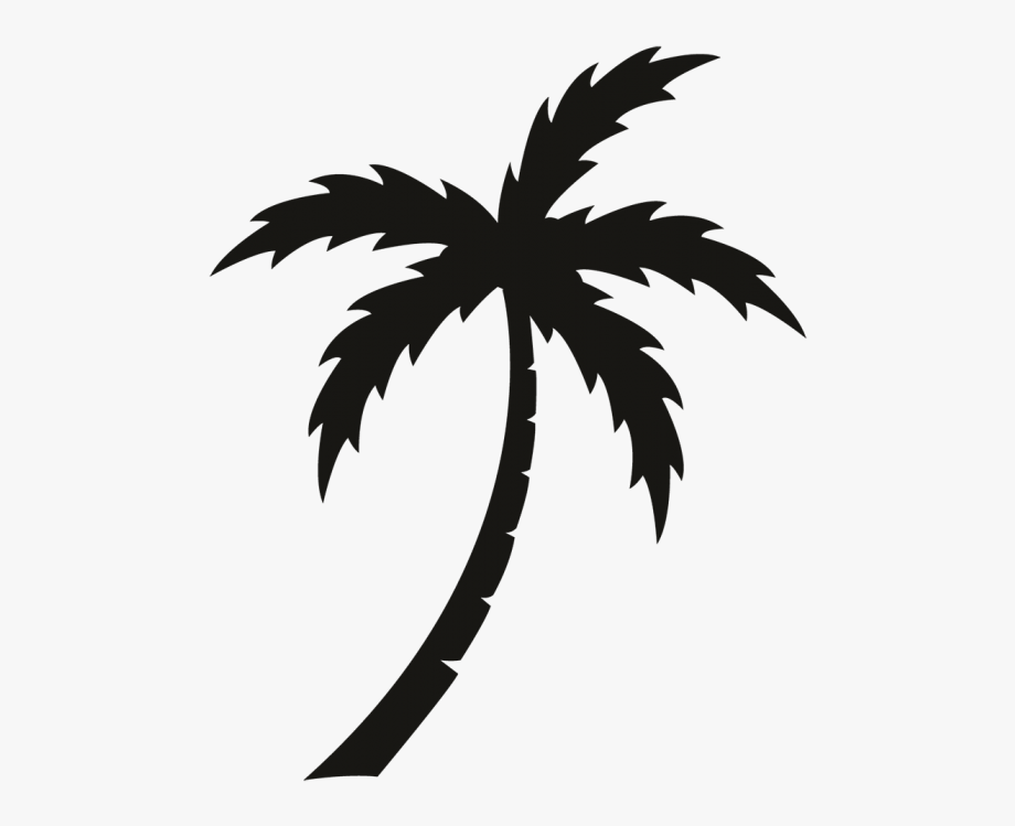 Palm Tree Clipart Black And White For Kids