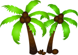 Coconut palm tree clipart tropical