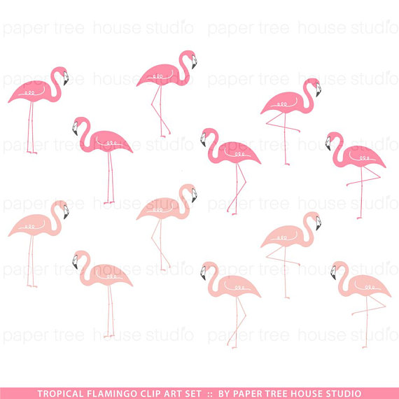 Flamingo clipart pink.
