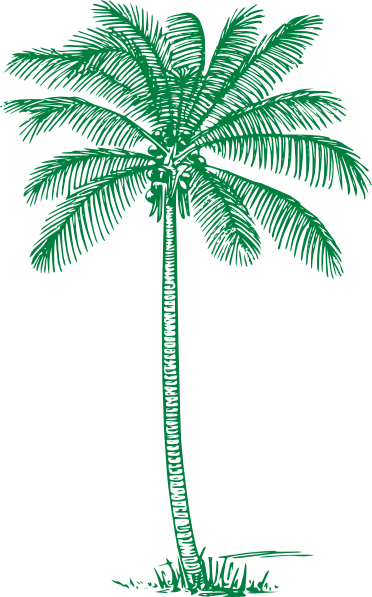 Green palm tree.