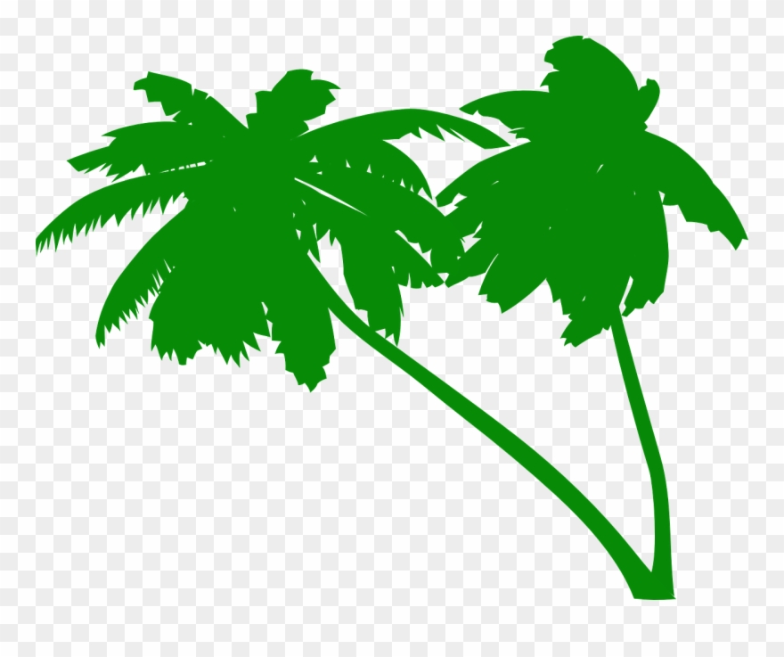 Palm Tree Clipart Palm Tress