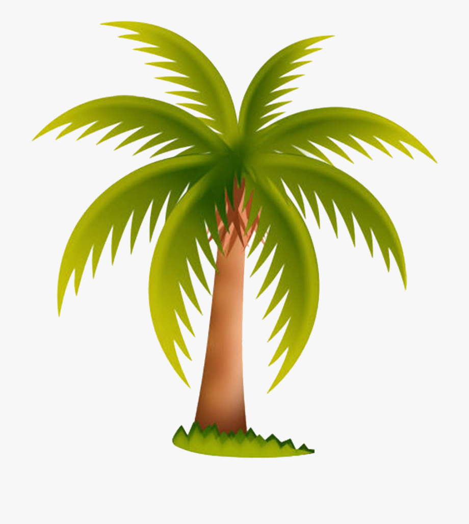 Arecaceae Date Palm Tree Clip Art