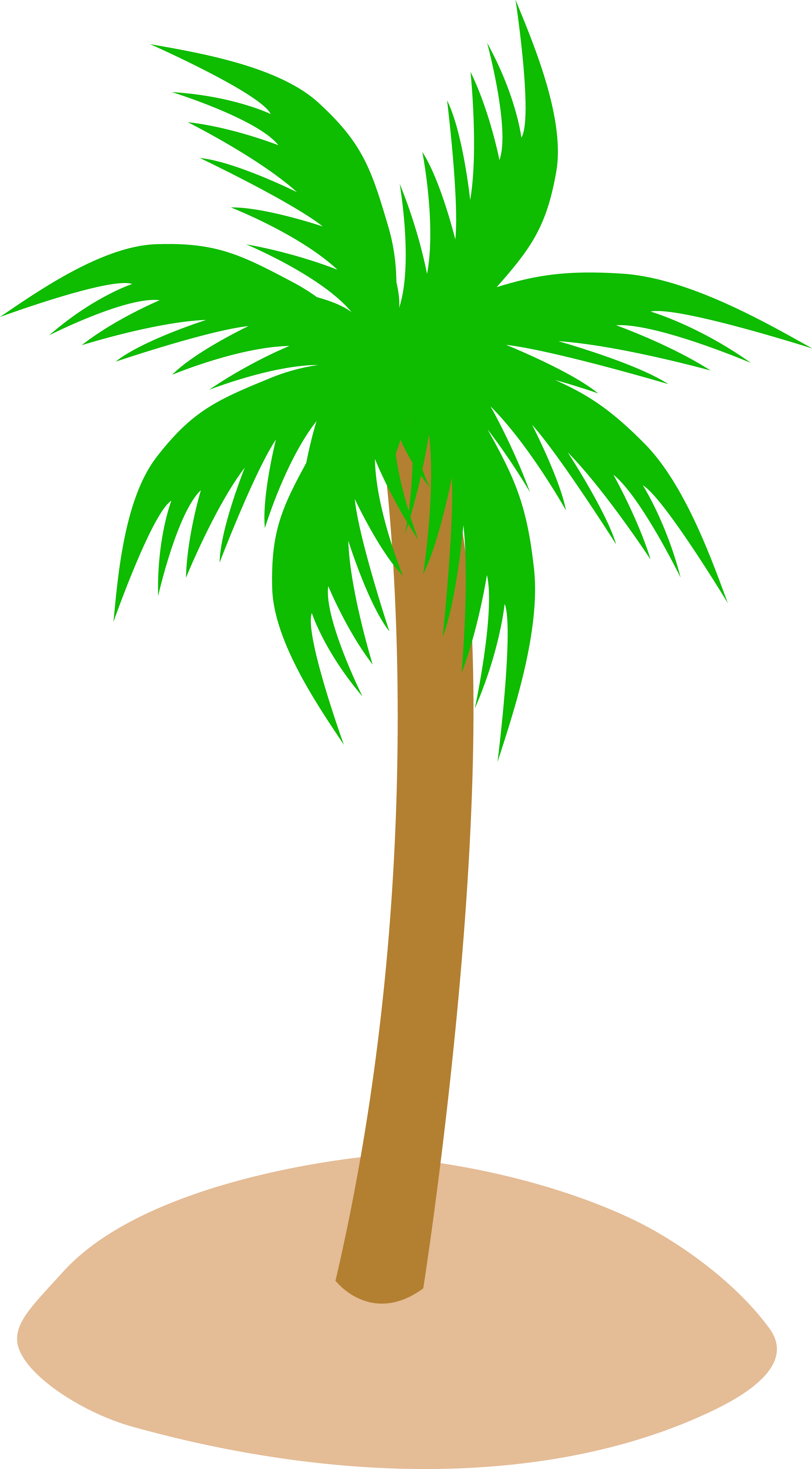 palm tree clipart illustration