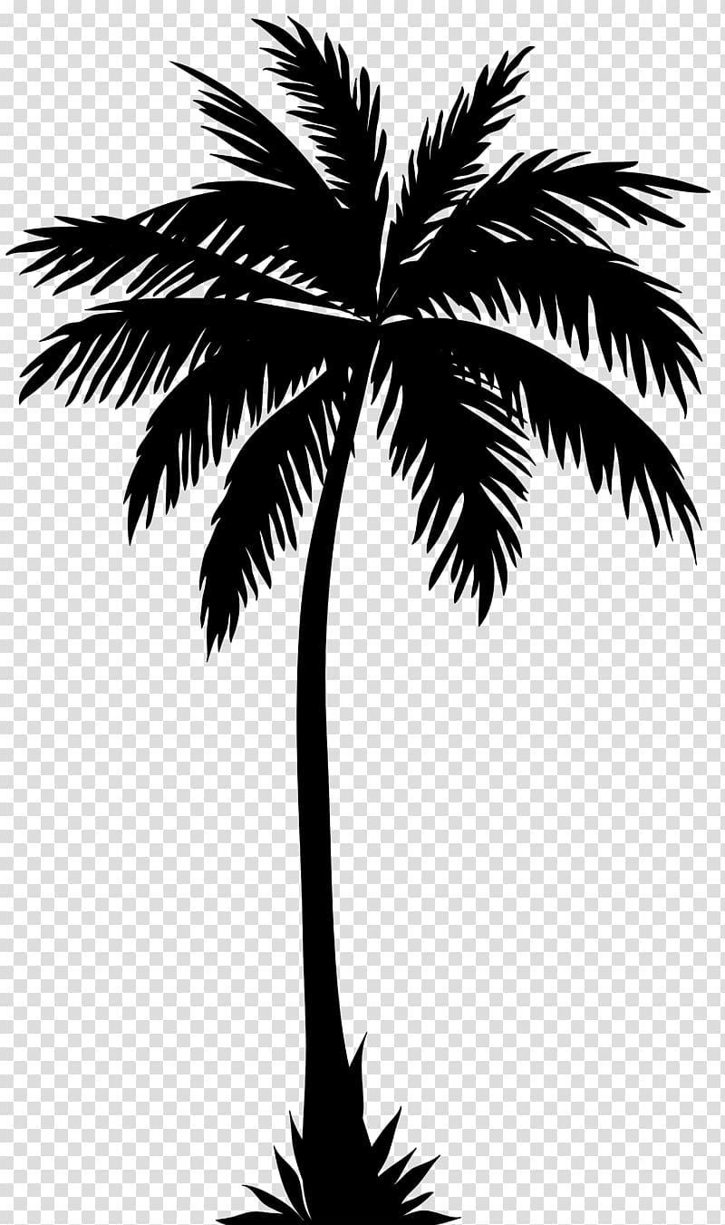 Palm tree illustration, Arecaceae Silhouette Tree , palm