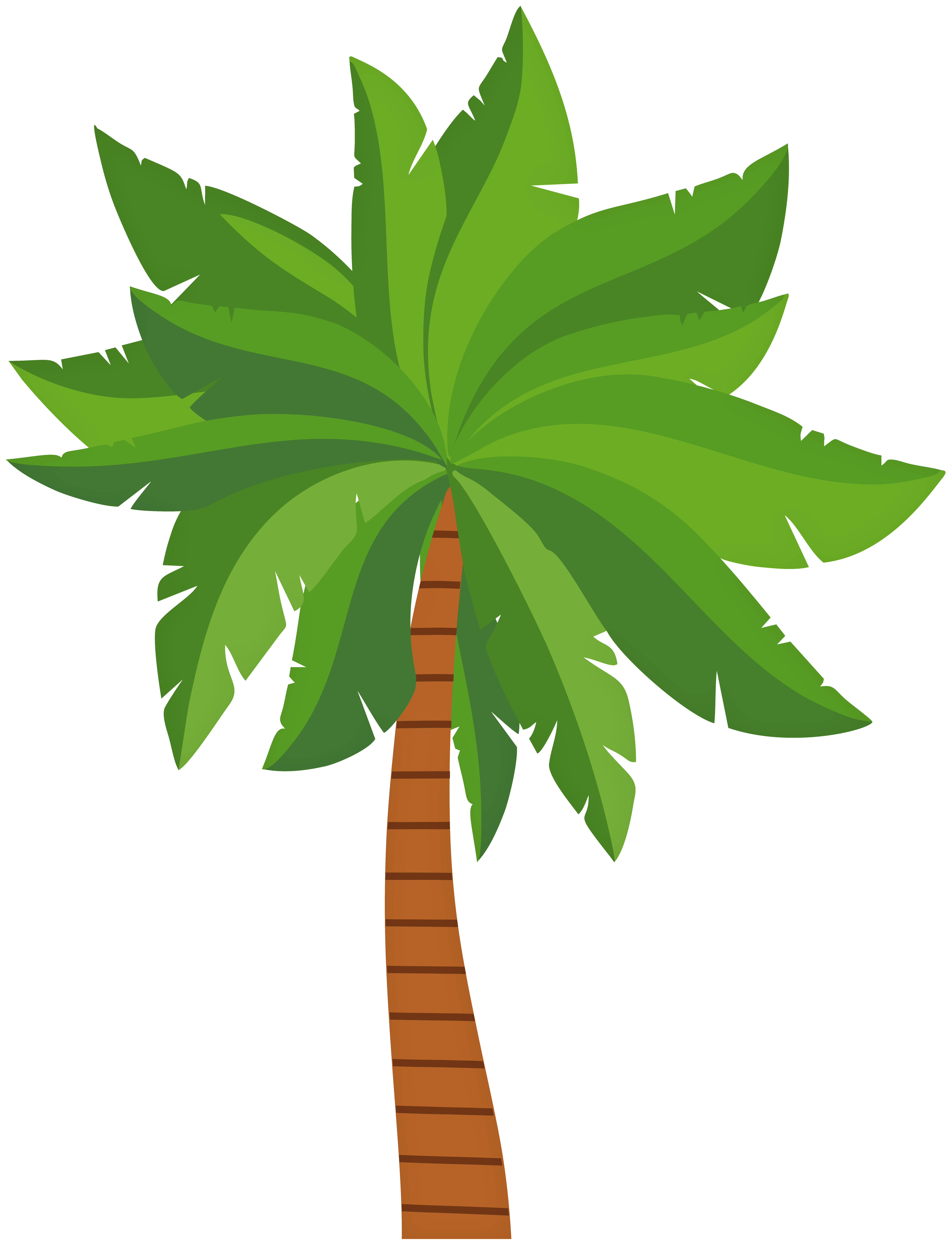 Palm trees clip.