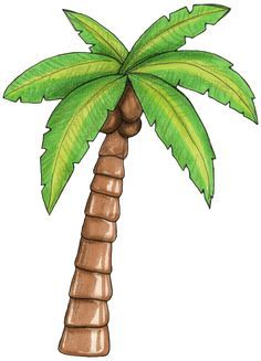 Image result for clipart images of palm tree