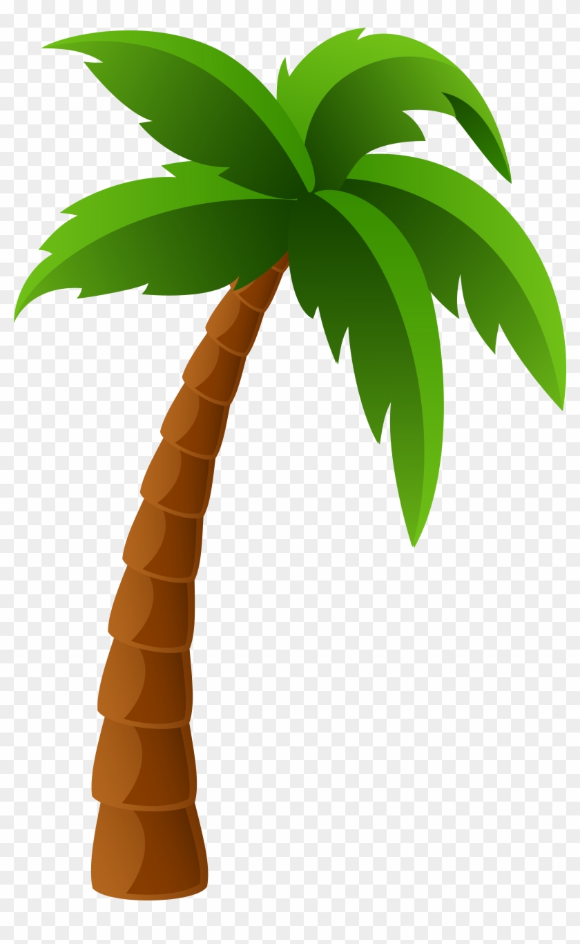 Collection palm tree.