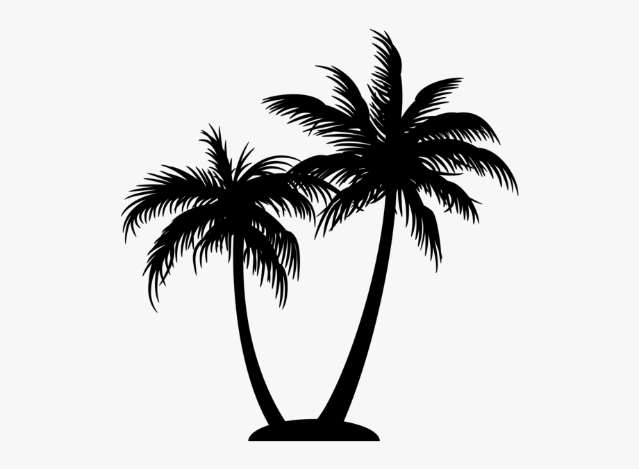 Palm Tree Logo On Black And White