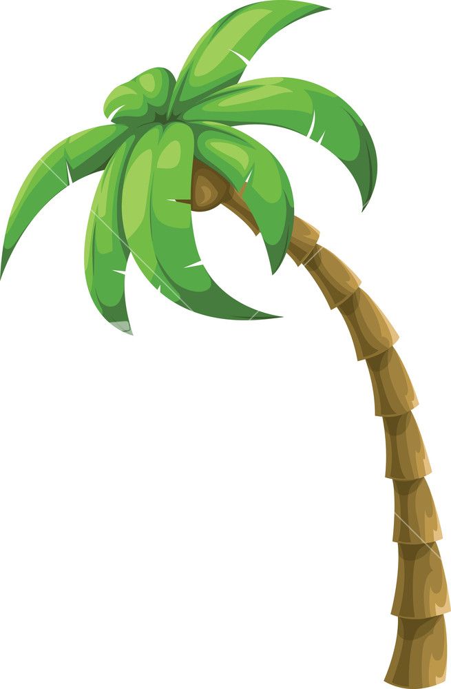 Colorful vector palm.