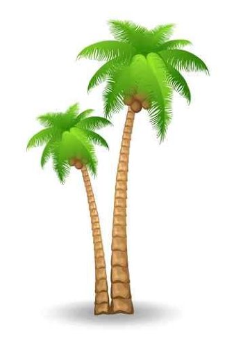 Free Palm Tree Graphics, Download Free Clip Art, Free Clip