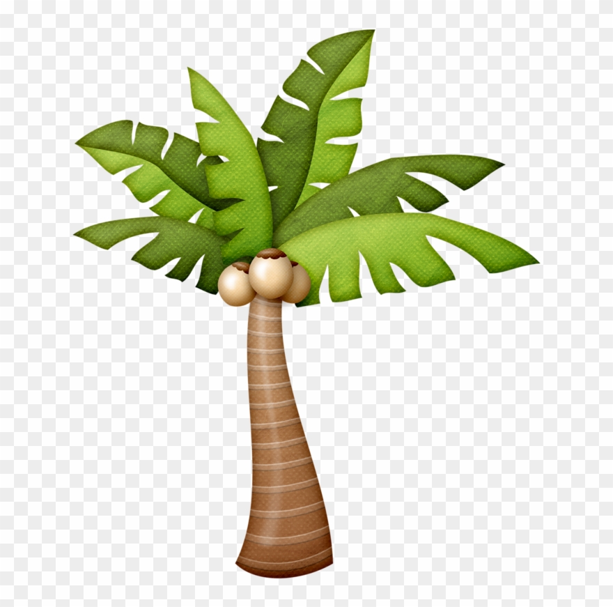  palm tree.