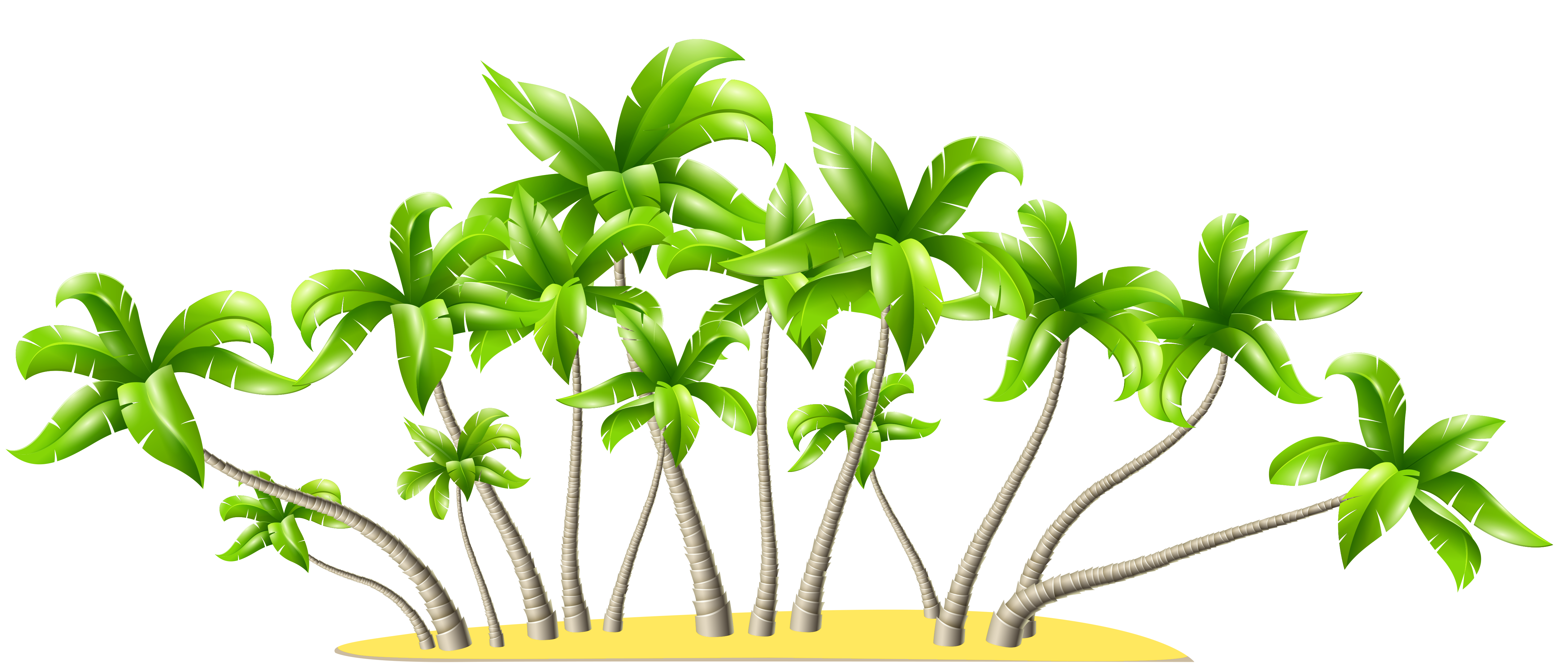 Palm trees png.