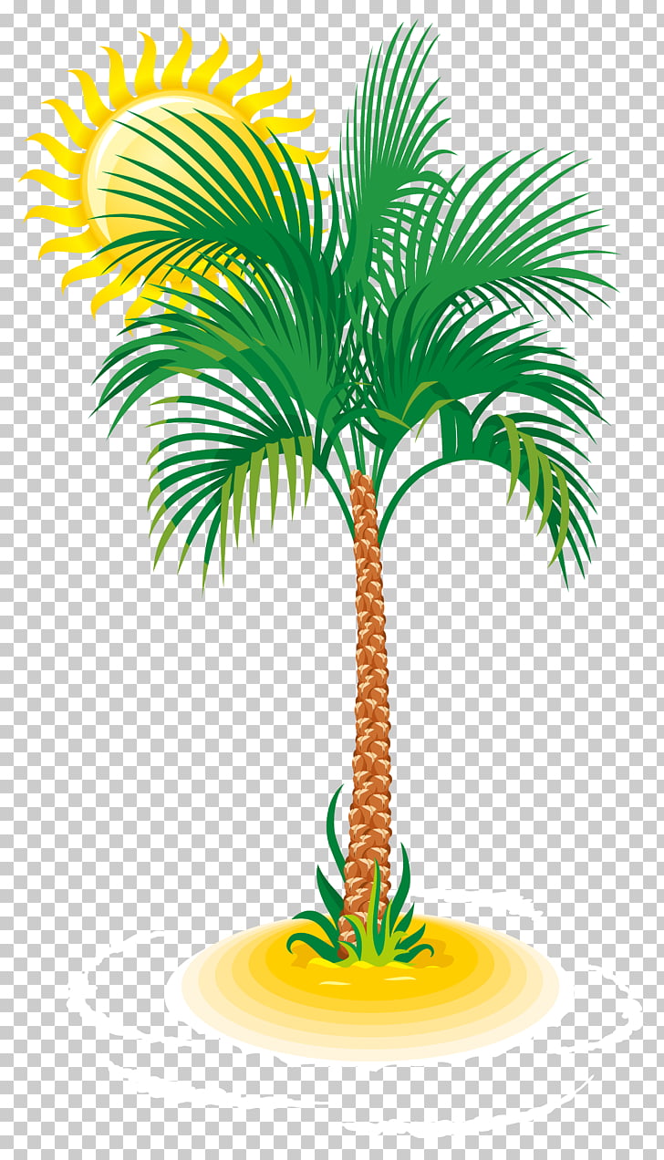 Arecaceae Tree , Palm and Sun , green palm tree illustration