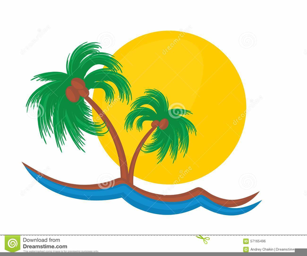 Sunset palm tree.