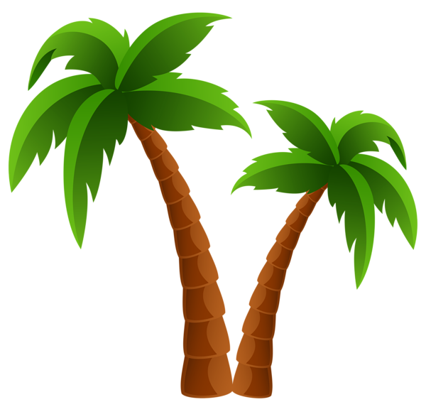 Palm Tree Clipart No Background
