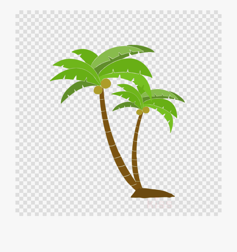 Palm Tree Clipart Transparent Background and other clipart images on ...