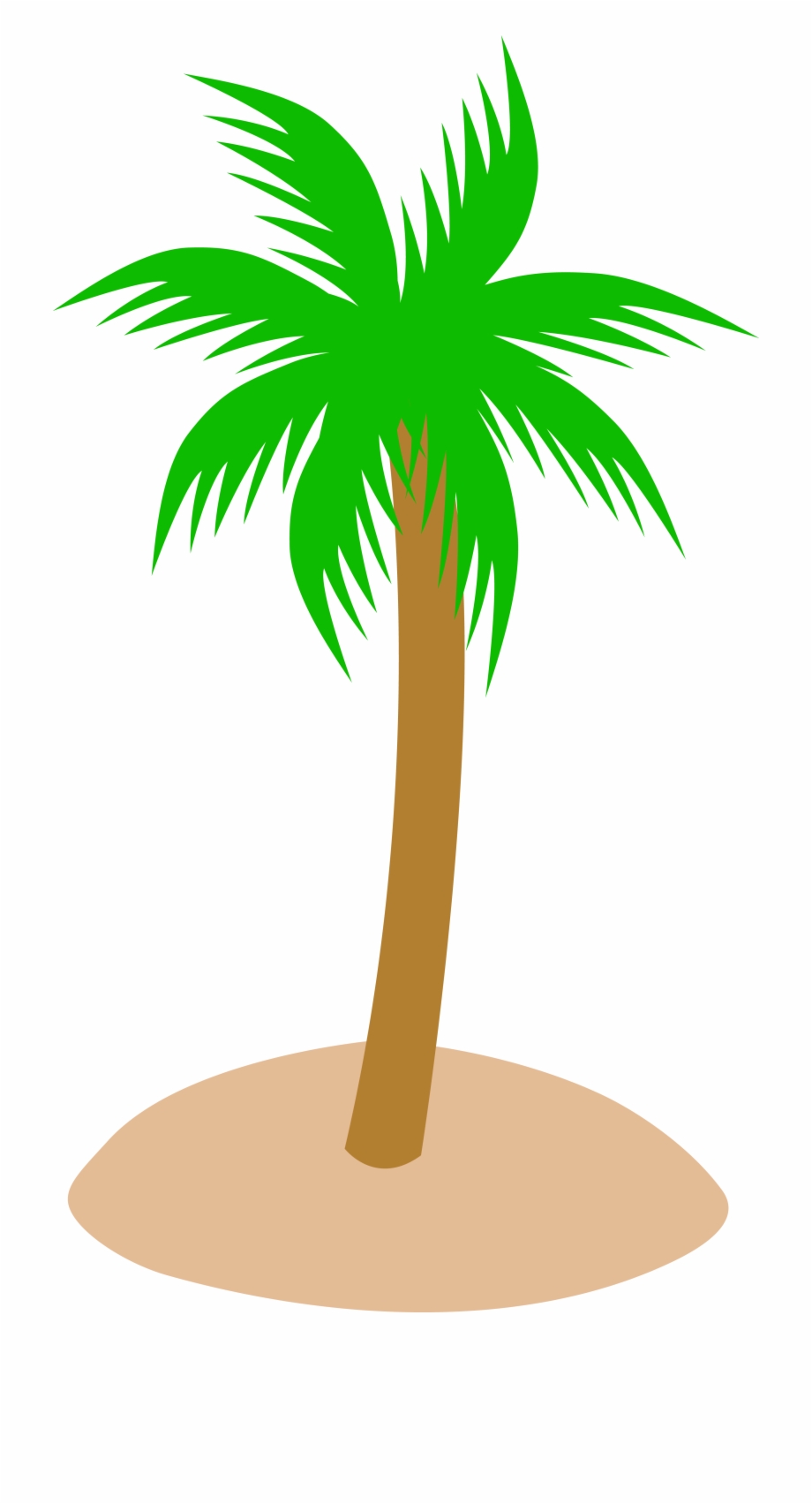 Tropical Palm Tree In Sand