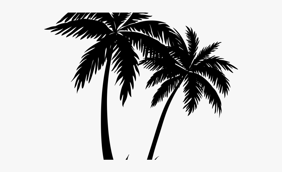 Palm Tree Clipart Curved