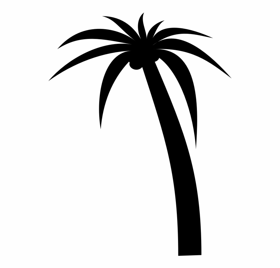 palm tree clipart vector