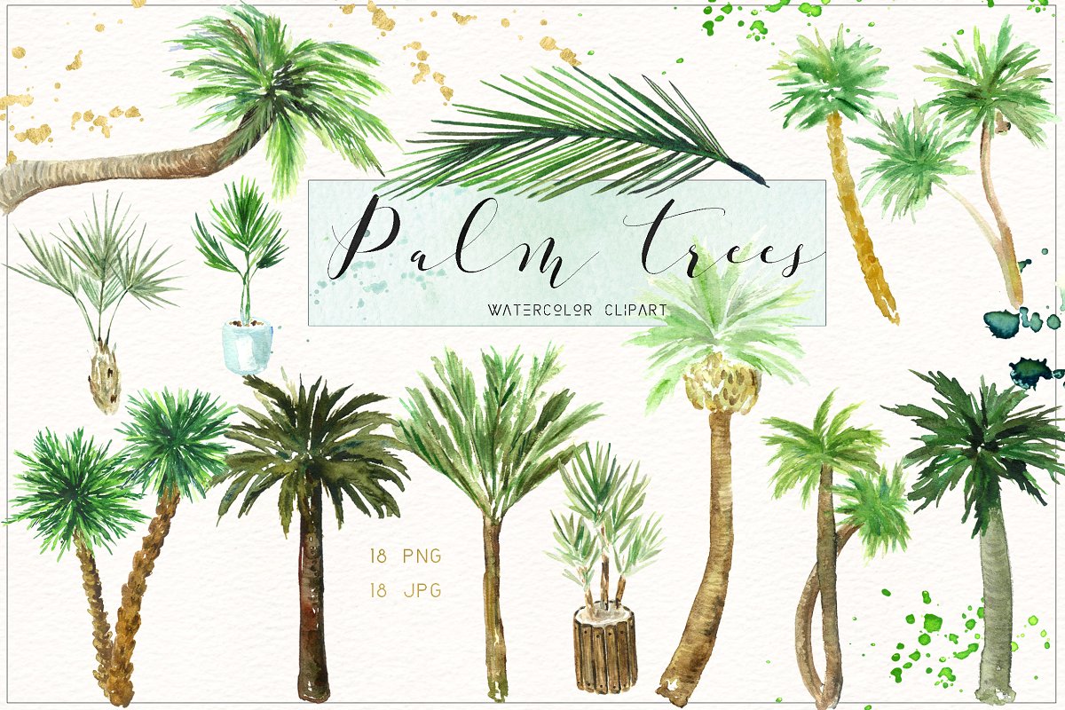 Palm tree watercolor.