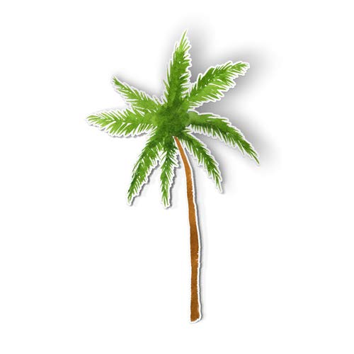 palm tree clipart watercolor