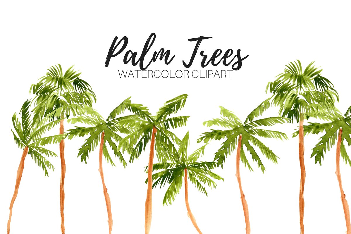 Watercolor Palm Tree Clipart