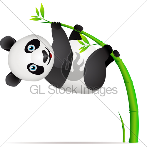 Panda climbing bamboo.