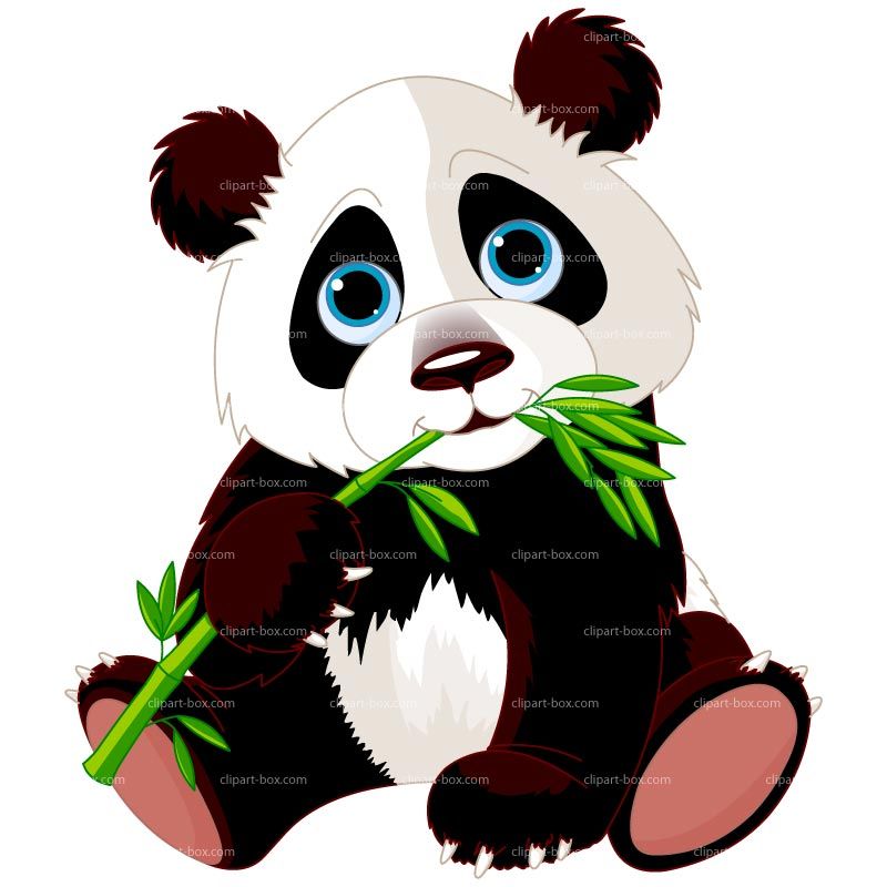 Clipart panda eating.