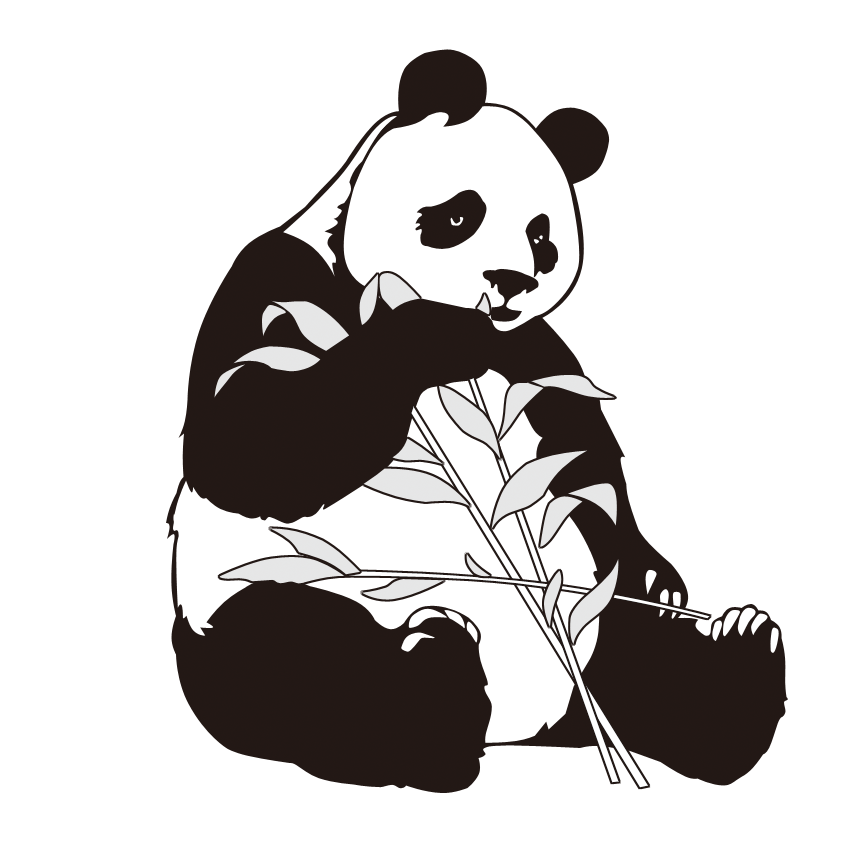 Giant panda bamboo.