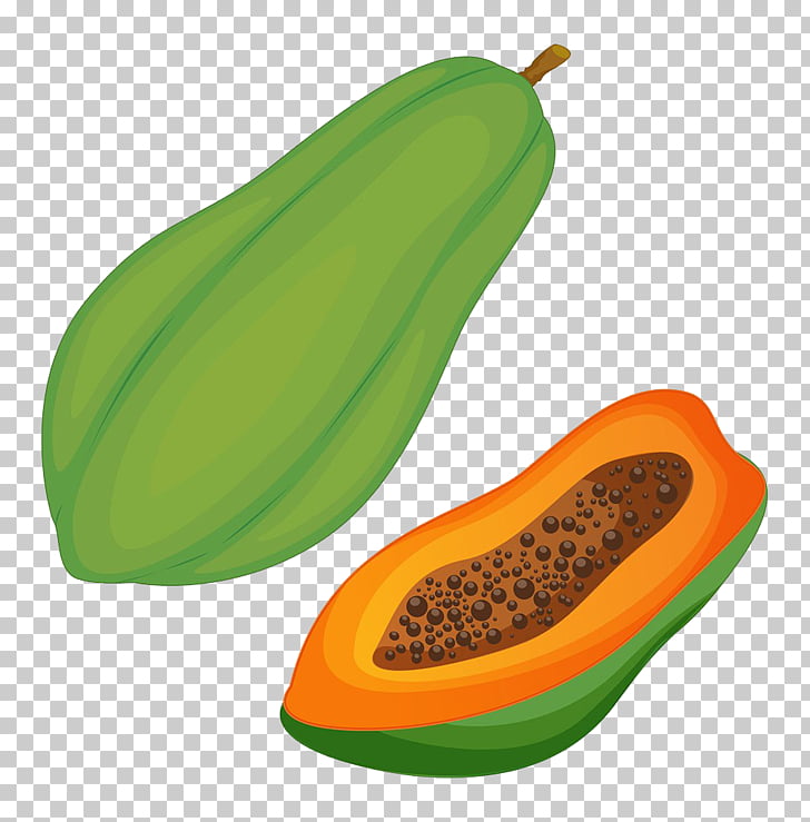 Papaya Pawpaw , Green papaya, green papaya illustration PNG