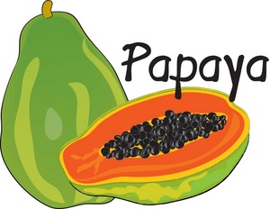 Free papaya clipart.