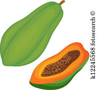 papaya clipart fruit