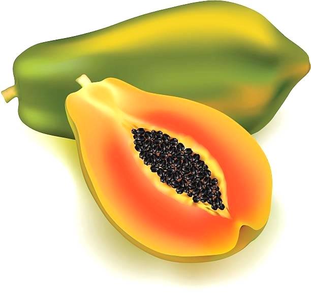 Papaya clipart