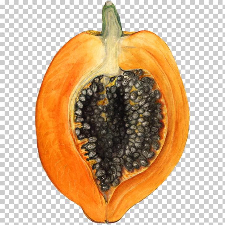 United states papaya.