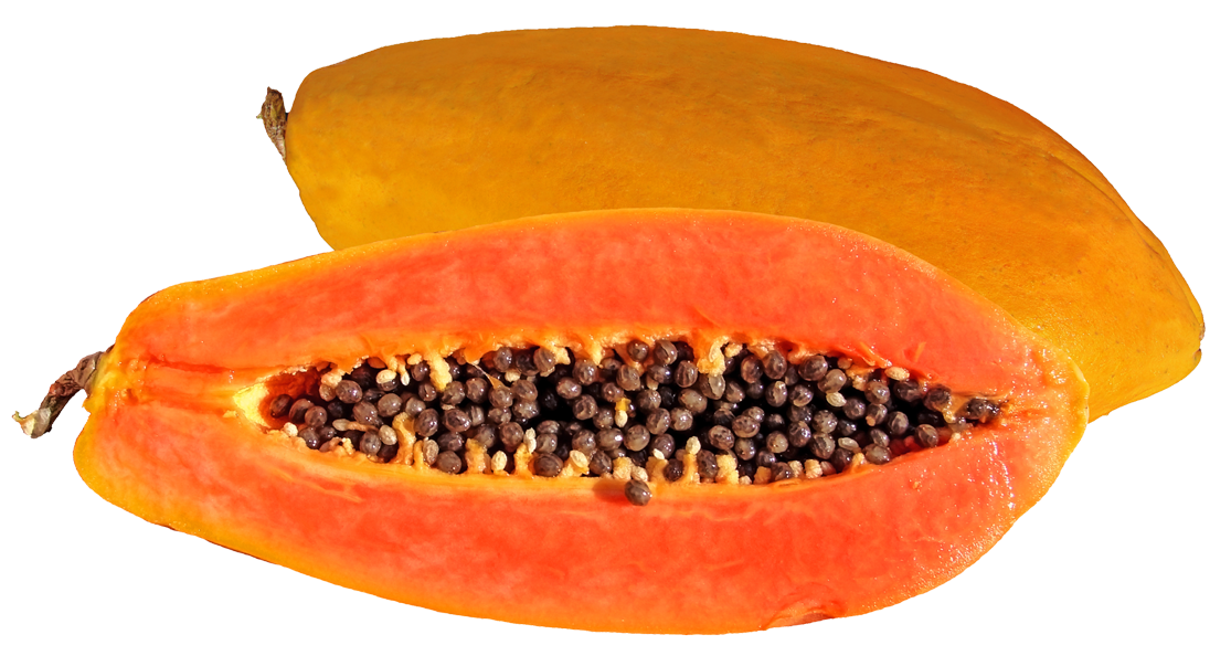 Tasty papaya png.