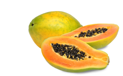 Download papaya free.