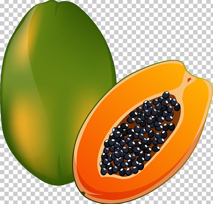 Papaya illustration png.