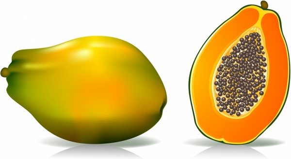 Papaya Free vector in Adobe Illustrator ai