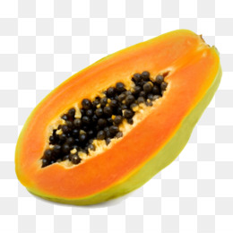papaya clipart tropical fruit