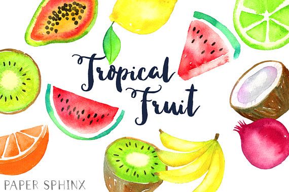 Watercolor Tropical Fruit Clipart