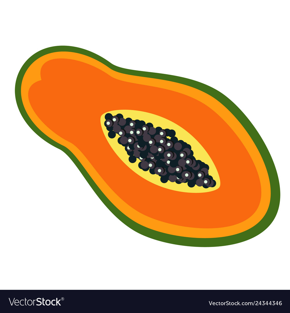 Papaya flat color art