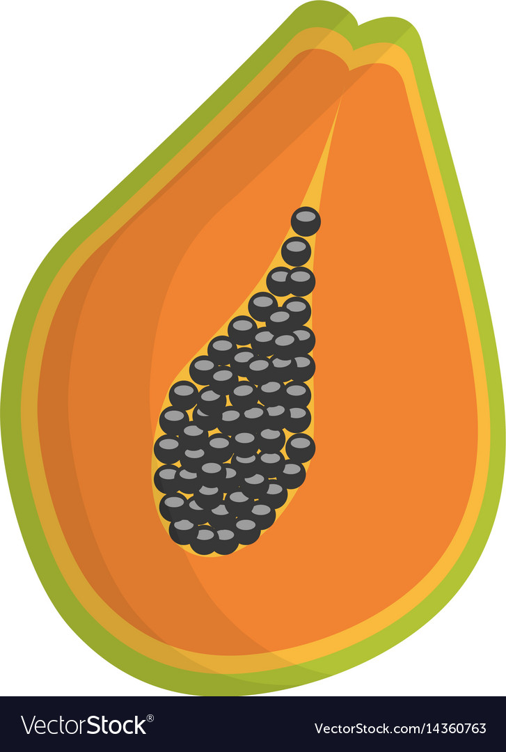 Slice papaya fruit healthy